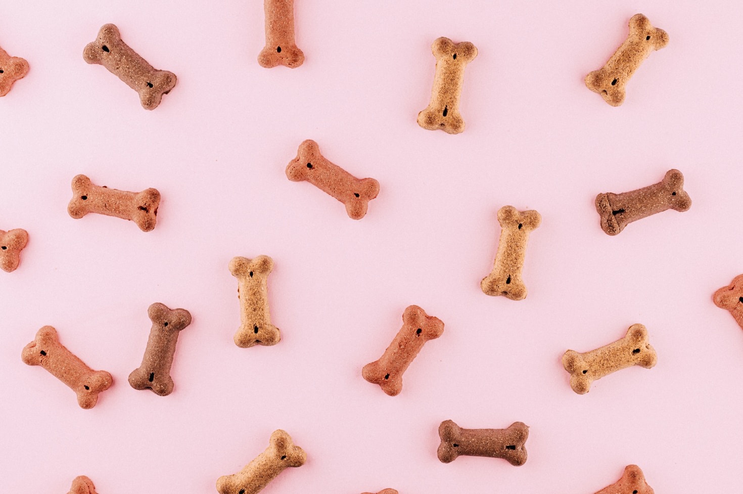 The Benefits of All-Natural Dog Treats
