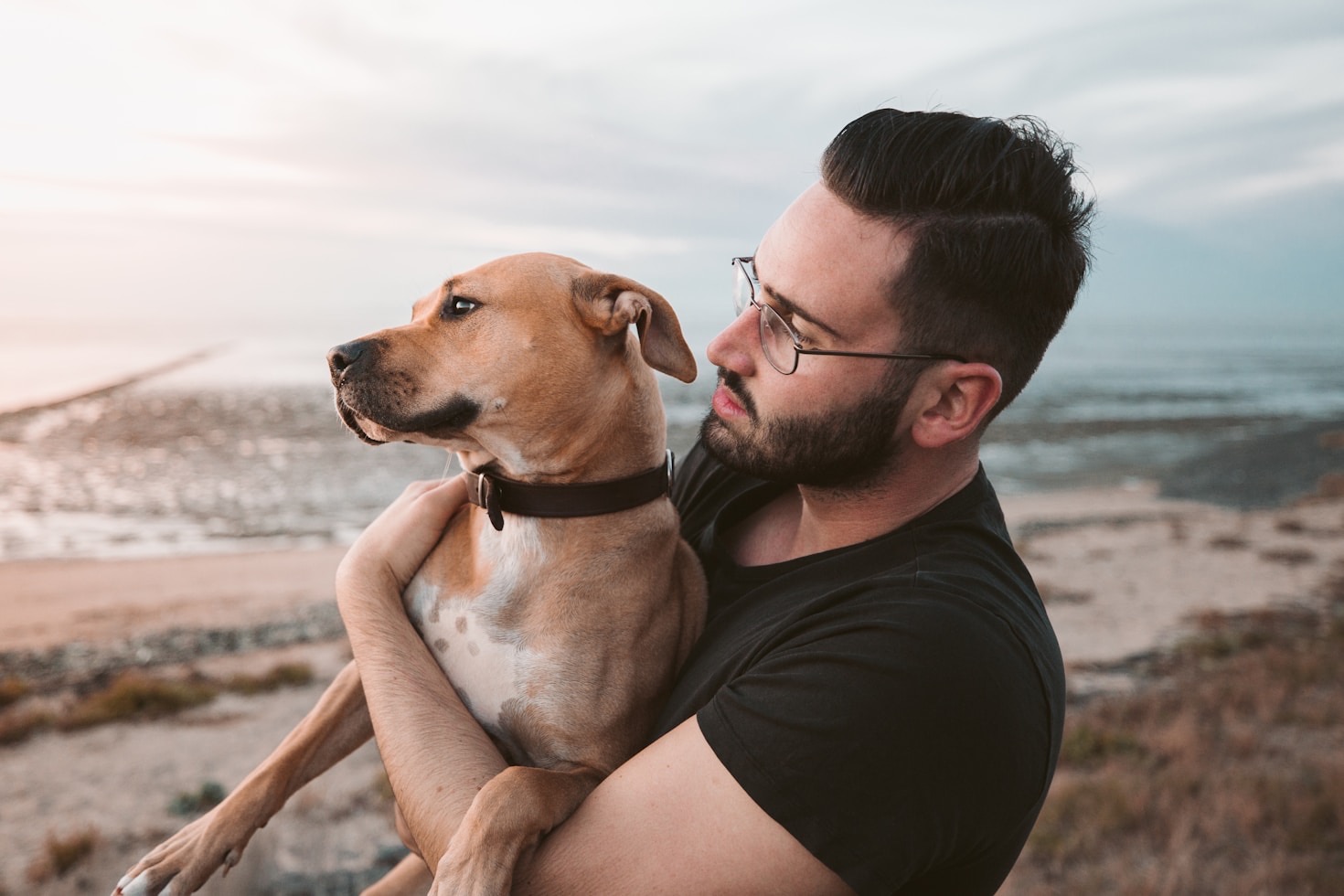 Why Relaxation is Key for Pets and Owners